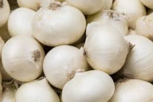 تصویر 5 از خرید و قیمت پیاز سفید عمده + فروش صادراتی